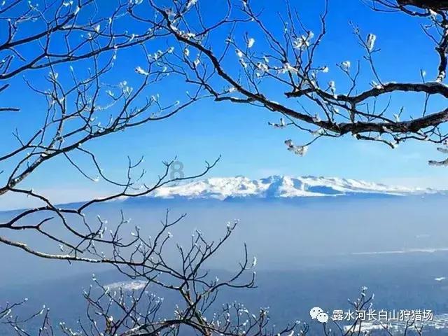 果果大作战