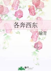 尽享我现在高二,学习成绩一般,该如何提高?知识星球,开启你的学习旅程
