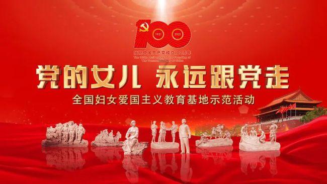 拯救受伤的猫