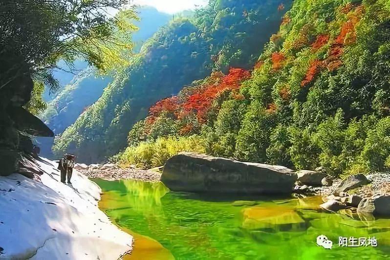 茂密丛林逃生