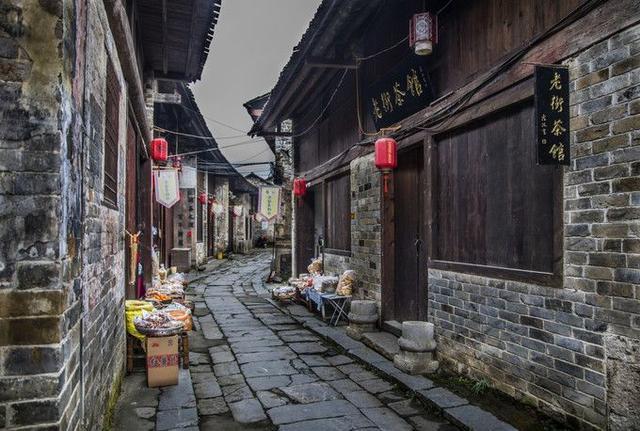 逃离鱼店
