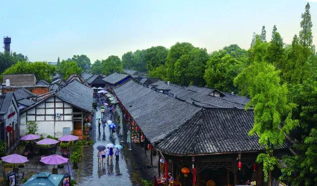小僵尸射飞鸟